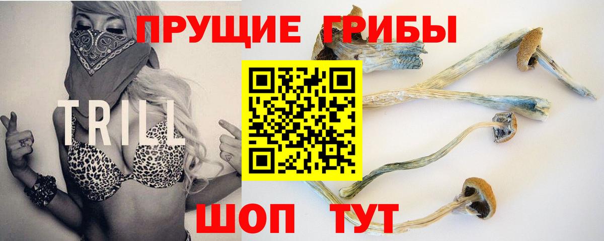 Семёнов  Псилоцибиновые грибы мухоморы  Вход с VPN 